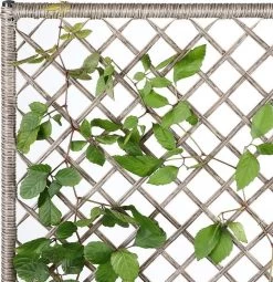 Casaria Polyrattan Bloembak – 3 Bakken Klimophek - Crème 14 Casaria Polyrattan Bloembak – 3 Bakken Klimophek - Crème -Tuin Kortingswinkel 1163x1200 3