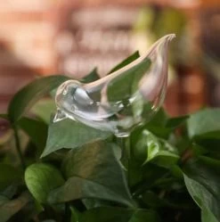 Waterdruppelaar Planten - Vorm Vogel - Set Van 3 Kunststof Druppelaars - 25cm Lengte - Genoeg Water Tijdens Je Vakantie -Tuin Kortingswinkel 1190x1200 4