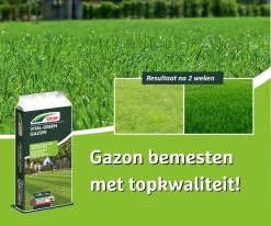 DCM Vital-Green Gazon - Gazonmest - Gazonmeststof Met MINIGRAN® Technology - 75m2 - 3 Kg 5 DCM Vital-Green Gazon - Gazonmest - Gazonmeststof Met MINIGRAN® Technology - 75m2 - 3 Kg -Tuin Kortingswinkel 1200x1000 1