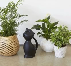 Balvi Meow! Kat Gieter - Zwart -Tuin Kortingswinkel 1200x1103 3