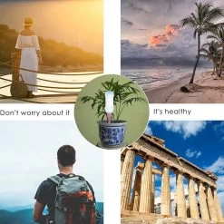 BOTC Waterdruppelaar Set Van 6 Stuks Voor Planten - Watergeefsysteem -Tuin Kortingswinkel 1200x1200 1016