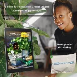 Waterdruppelaar Set Van 12 Stuks - Waterdruppelaar Voor Planten - Watergeefsysteem - Waterbol Irrigatiesysteem - Automatisch Druppelsysteem Voor Kamerplanten & Tuin - Watergever - Transparant - 15cm -Tuin Kortingswinkel 1200x1200 1064
