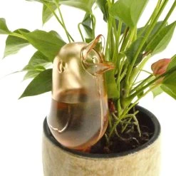 JS Drippy - Waterdruppelaars Set Van 2 Stuks - Druppelaar Vogel - Druppelsysteem Planten - Watergeefsysteem Kamerplanten - Waterbol - Roze -Tuin Kortingswinkel 1200x1200 1069