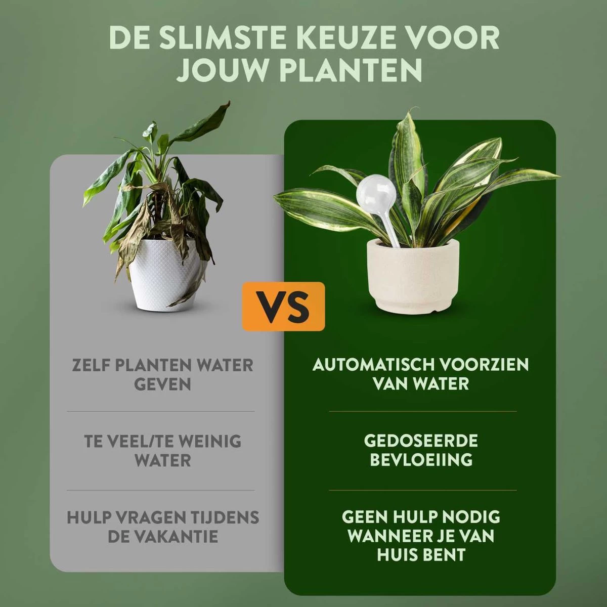 STFF & Co® Waterdruppelaar Voor Planten – Irrigatiesysteem Automatisch Watergeefsysteem – Waterbollen Voor Planten – Bewateringssysteem – 8 Stuks - 5cm 3 STFF & Co® Waterdruppelaar Voor Planten – Irrigatiesysteem Automatisch Watergeefsysteem – Waterbollen Voor Planten – Bewateringssysteem – 8 Stuks - 5cm - Afbeelding 3