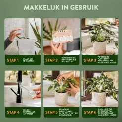 STFF & Co® Waterdruppelaar Voor Planten – Irrigatiesysteem Automatisch Watergeefsysteem – Waterbollen Voor Planten – Bewateringssysteem – 8 Stuks - 5cm 8 STFF & Co® Waterdruppelaar Voor Planten – Irrigatiesysteem Automatisch Watergeefsysteem – Waterbollen Voor Planten – Bewateringssysteem – 8 Stuks - 5cm -Tuin Kortingswinkel 1200x1200 1110