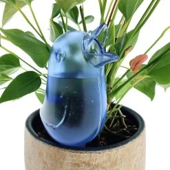 JS Drippy - Waterdruppelaars Set Van 2 Stuks - Druppelaar Vogel - Druppelsysteem Planten - Watergeefsysteem Kamerplanten - Waterbol - Blauw -Tuin Kortingswinkel 1200x1200 1119
