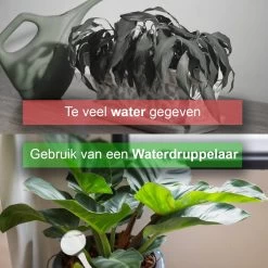 Waterdruppelaar Set Van 6 Stuks - Waterdruppelaar Voor Planten - Watergeefsysteem - Waterbol Irrigatiesysteem - Automatisch Druppelsysteem Voor Kamerplanten & Tuin - Watergever - Doorzichtig - 15cm -Tuin Kortingswinkel 1200x1200 1143