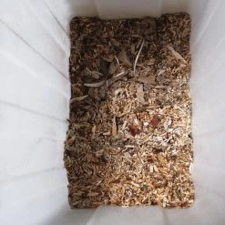 Gardebruk Hakselaar Elektrisch 2800W - 45mm Takdikte - Opvangbak 60 L -Tuin Kortingswinkel 1200x1200 125