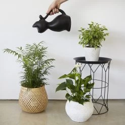 Balvi Meow! Kat Gieter - Zwart -Tuin Kortingswinkel 1200x1200 1306