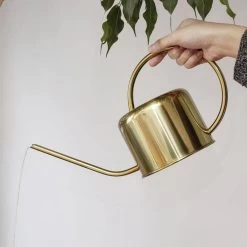Kikkerland Vintage Gieter - Plantengieter Voor Binnen - Goud - 1,2L - Retro - Metaal 9 Kikkerland Vintage Gieter - Plantengieter Voor Binnen - Goud - 1,2L - Retro - Metaal -Tuin Kortingswinkel 1200x1200 1315
