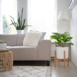 LifeGoods Planten Standaard - Uitschuifbare Bloempothouder - 20 Tot 30 Cm - Licht Bamboe -Tuin Kortingswinkel 1200x1200 1345