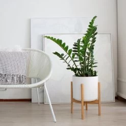 LifeGoods Planten Standaard - Uitschuifbare Bloempothouder - 20 Tot 30 Cm - Licht Bamboe -Tuin Kortingswinkel 1200x1200 1346