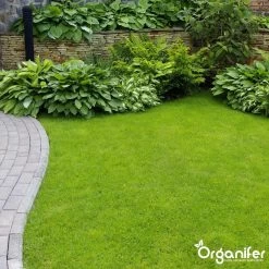 Koemestkorrels 3in1 (20Kg Voor 200m2) Allround Organische Meststof - Direct Opneembare Voeding - Langdurige Werking > 120 Dagen - Geurloos - Verbeterd Bodem - Lavameel Toevoeging - Versterkt Gras En Planten - Organifer -Tuin Kortingswinkel 1200x1200 1365