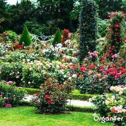 Koemestkorrels 3in1 (20Kg Voor 200m2) Allround Organische Meststof - Direct Opneembare Voeding - Langdurige Werking > 120 Dagen - Geurloos - Verbeterd Bodem - Lavameel Toevoeging - Versterkt Gras En Planten - Organifer -Tuin Kortingswinkel 1200x1200 1368