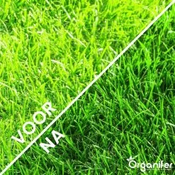 Kalk Korrel Meststof Verrijkt Met Magnesium (5Kg - Voor 100m2) Voor Dieper Bladgroen (+PH) Speciaal Voor Gazon, Perken, Moestuin En Openbaar Groen - Organifer -Tuin Kortingswinkel 1200x1200 1377