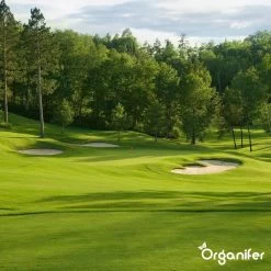 Kalk Korrel Meststof Verrijkt Met Magnesium (5Kg - Voor 100m2) Voor Dieper Bladgroen (+PH) Speciaal Voor Gazon, Perken, Moestuin En Openbaar Groen - Organifer -Tuin Kortingswinkel 1200x1200 1381