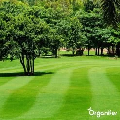 Kalk Korrel Meststof Verrijkt Met Magnesium (5Kg - Voor 100m2) Voor Dieper Bladgroen (+PH) Speciaal Voor Gazon, Perken, Moestuin En Openbaar Groen - Organifer -Tuin Kortingswinkel 1200x1200 1385