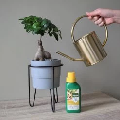 Pokon Bonsai Voeding - 250ml - Plantenvoeding - 10ml Per 1L Water -Tuin Kortingswinkel 1200x1200 1396
