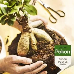 Pokon Bonsai Voeding - 250ml - Plantenvoeding - 10ml Per 1L Water -Tuin Kortingswinkel 1200x1200 1397