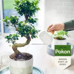 Pokon Bio Bonsai Voeding - 250ml - Plantenvoeding (bio) - 7ml Per 1L Water -Tuin Kortingswinkel 1200x1200 1408