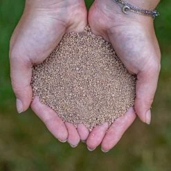 ECOstyle AZ Kalk Micro Korrel – Voor Gazon, Sier- En Moestuin - Corrigeert Zuurgraad Direct En Langdurig - Werkt Tegen Mos - CO2-Neutraal – 265 M² - 20 KG -Tuin Kortingswinkel 1200x1200 1415