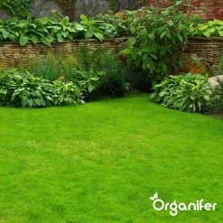 IJzersulfaat Meststof – Mos Verwijderaar – 5kg -Voor 250m2 (organifer) -Tuin Kortingswinkel 1200x1200 1417