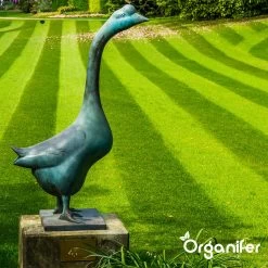 IJzersulfaat Meststof – Mos Verwijderaar – 5kg -Voor 250m2 (organifer) -Tuin Kortingswinkel 1200x1200 1422