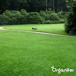 IJzersulfaat Meststof – Mos Verwijderaar – 5kg -Voor 250m2 (organifer) -Tuin Kortingswinkel 1200x1200 1424