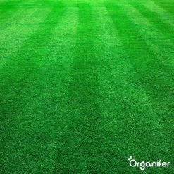 Kalk Korrel Meststof Verrijkt Met Magnesium (20Kg - Voor 400m2) Voor Dieper Bladgroen (+PH) Speciaal Voor Gazon, Perken, Moestuin En Openbaar Groen - Organifer -Tuin Kortingswinkel 1200x1200 1444