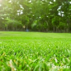 Kalk Korrel Meststof Verrijkt Met Magnesium (20Kg - Voor 400m2) Voor Dieper Bladgroen (+PH) Speciaal Voor Gazon, Perken, Moestuin En Openbaar Groen - Organifer -Tuin Kortingswinkel 1200x1200 1447