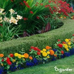 Lavagruis Uit Eifel Oergesteente (20Kg Voor 200m2) Grof Lavameel 0-2mm - Organifer -Tuin Kortingswinkel 1200x1200 1459