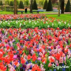 Lavagruis Uit Eifel Oergesteente (20Kg Voor 200m2) Grof Lavameel 0-2mm - Organifer -Tuin Kortingswinkel 1200x1200 1460