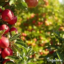 Lavagruis Uit Eifel Oergesteente (20Kg Voor 200m2) Grof Lavameel 0-2mm - Organifer -Tuin Kortingswinkel 1200x1200 1463