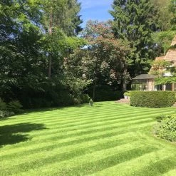 Gazonmest Met Ijzersulfaat Voor 100m²Gras | Gazon Meststof Met Ijzer | Mos Bestrijding & Gras Bemesting In Één | Ideaal Voor Meststofstrooier | Gazonbemesting -Tuin Kortingswinkel 1200x1200 1472