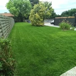 Gazonmest Met Ijzersulfaat Voor 100m²Gras | Gazon Meststof Met Ijzer | Mos Bestrijding & Gras Bemesting In Één | Ideaal Voor Meststofstrooier | Gazonbemesting -Tuin Kortingswinkel 1200x1200 1473