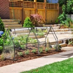 Relaxdays Kweekkas Pvc Met 2 Deuren - Lage Foliekas - Kleine Tuinkas - Plantenkas Tuin -Tuin Kortingswinkel 1200x1200 1500