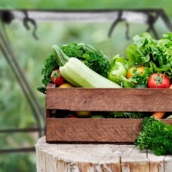 Relaxdays Kweekkas Pvc Met 2 Deuren - Lage Foliekas - Kleine Tuinkas - Plantenkas Tuin -Tuin Kortingswinkel 1200x1200 1502