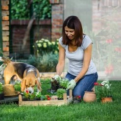 Relaxdays Tomatenkas XL - Met Schuin Dak - Kweekkas Voor Tomaten - Plastic Serre -Tuin Kortingswinkel 1200x1200 1512