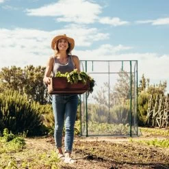 Relaxdays Tomatenkas 170 X 130 X 75 Cm - Folie Tuinkas - Grote Tomaten Kweekkas - Foliekas -Tuin Kortingswinkel 1200x1200 1570