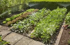 GARDENA Micro Drip System Bloembed En Moestuin Startset Druppelsysteem - 25 Meter 12 GARDENA Micro Drip System Bloembed En Moestuin Startset Druppelsysteem - 25 Meter -Tuin Kortingswinkel 1200x770