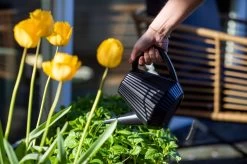 Xala - Gieter Doppio Groove 2L Zwart -Tuin Kortingswinkel 1200x799 177