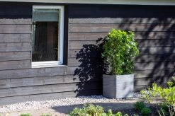 Capi Europe - Bloempot Vierkant Rib NL - 30x30x30 - Zwart - Voor Binnen En Buiten - KBLR902 -Tuin Kortingswinkel 1200x799 182