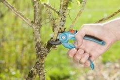 GARDENA Classic Aambeeld Snoeischaar - Ø 18 Mm 7 GARDENA Classic Aambeeld Snoeischaar - Ø 18 Mm -Tuin Kortingswinkel 1200x799 41