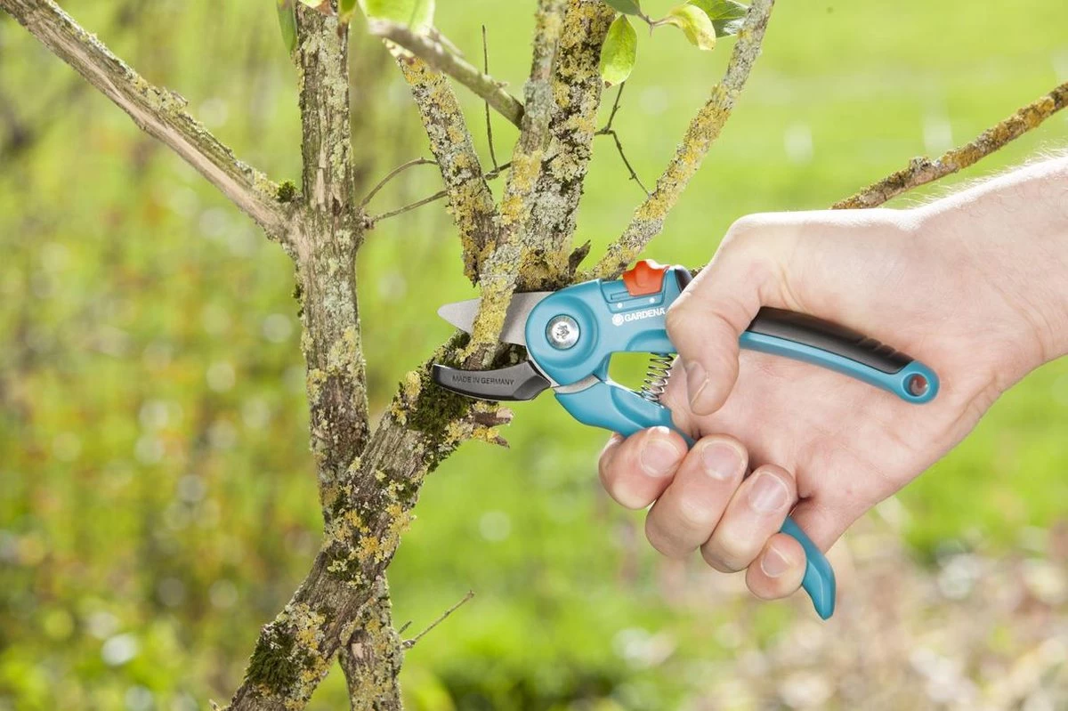 GARDENA Classic Aambeeld Snoeischaar - Ø 18 Mm 3 GARDENA Classic Aambeeld Snoeischaar - Ø 18 Mm - Afbeelding 3