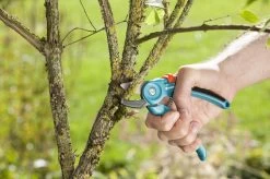 GARDENA Classic Aambeeld Snoeischaar - Ø 18 Mm 9 GARDENA Classic Aambeeld Snoeischaar - Ø 18 Mm -Tuin Kortingswinkel 1200x799 43