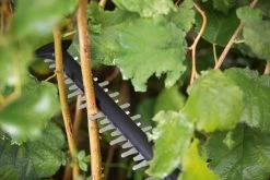 Bosch UniversalHedgeCut 18-55 Heggenschaar - Zonder 18V Accu En Oplader -Tuin Kortingswinkel 1200x800 100