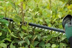 Bosch UniversalHedgeCut 18-50 Heggenschaar - Met 18 V Accu En Lader -Tuin Kortingswinkel 1200x800 109