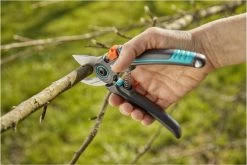 GARDENA - ExpertCut - Snoeischaar - 22 Diameter Tak -Tuin Kortingswinkel 1200x800 115