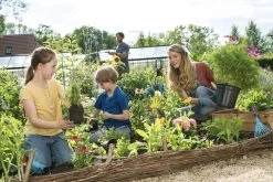 GARDENA Combisystem Bladharkje - Werkbreedte 12 Cm - 25 Jaar Garantie -Tuin Kortingswinkel 1200x800