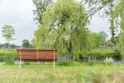 MaximaVida Tuinbank Budapest Oil 170 Cm - Uit Exclusief Mahoniehout -Tuin Kortingswinkel 1200x800 259